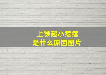 上颚起小疙瘩是什么原因图片