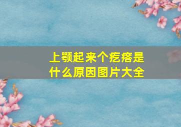 上颚起来个疙瘩是什么原因图片大全