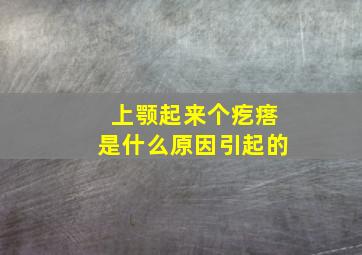 上颚起来个疙瘩是什么原因引起的