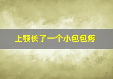 上颚长了一个小包包疼