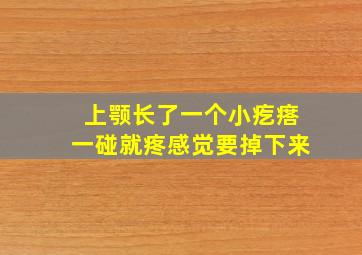 上颚长了一个小疙瘩一碰就疼感觉要掉下来