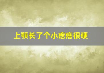 上颚长了个小疙瘩很硬