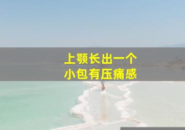 上颚长出一个小包有压痛感