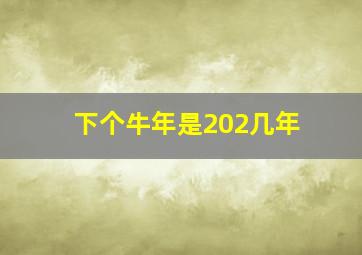 下个牛年是202几年