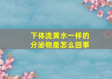 下体流黄水一样的分泌物是怎么回事