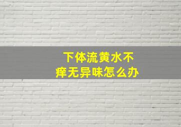 下体流黄水不痒无异味怎么办