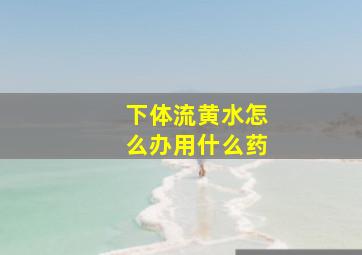 下体流黄水怎么办用什么药