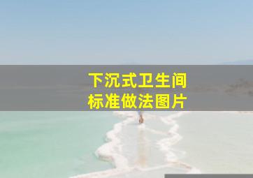 下沉式卫生间标准做法图片