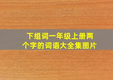 下组词一年级上册两个字的词语大全集图片