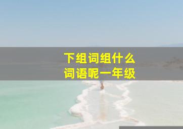 下组词组什么词语呢一年级