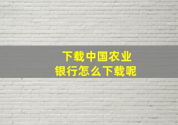 下载中国农业银行怎么下载呢