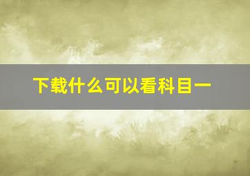 下载什么可以看科目一