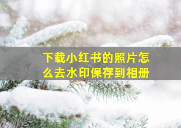 下载小红书的照片怎么去水印保存到相册