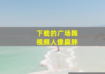 下载的广场舞视频人像扁胖