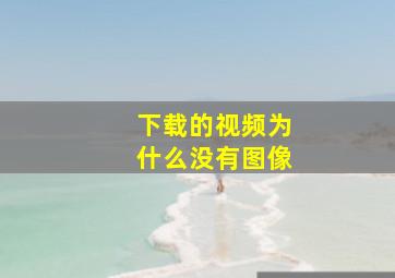 下载的视频为什么没有图像