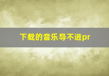 下载的音乐导不进pr