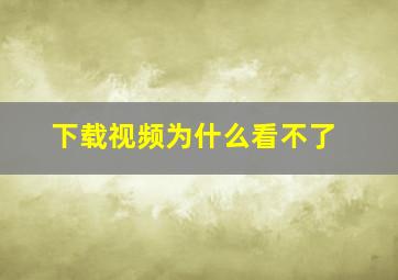 下载视频为什么看不了