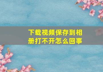 下载视频保存到相册打不开怎么回事