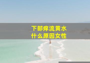 下部痒流黄水什么原因女性