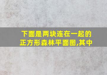 下面是两块连在一起的正方形森林平面图,其中