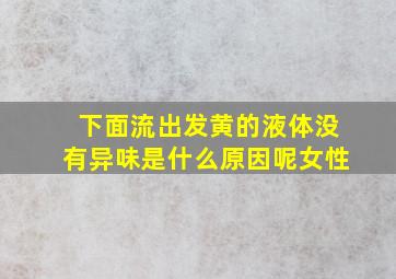 下面流出发黄的液体没有异味是什么原因呢女性