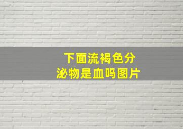 下面流褐色分泌物是血吗图片