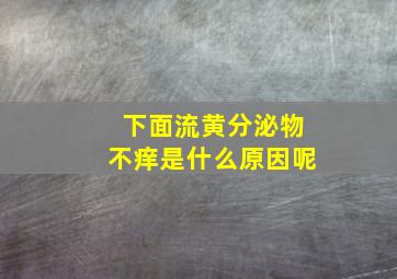 下面流黄分泌物不痒是什么原因呢