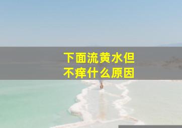 下面流黄水但不痒什么原因