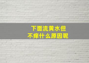 下面流黄水但不痒什么原因呢