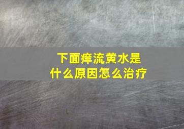 下面痒流黄水是什么原因怎么治疗