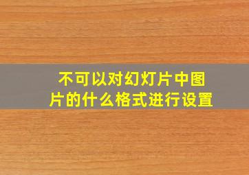 不可以对幻灯片中图片的什么格式进行设置