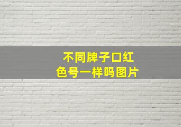 不同牌子口红色号一样吗图片