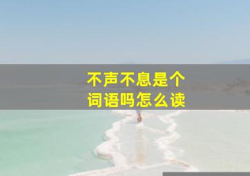 不声不息是个词语吗怎么读