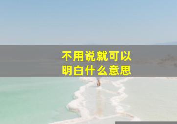 不用说就可以明白什么意思