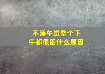 不睡午觉整个下午都很困什么原因