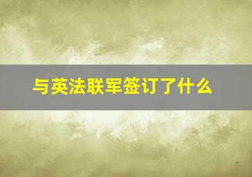 与英法联军签订了什么