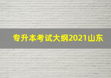 专升本考试大纲2021山东