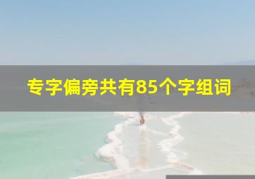 专字偏旁共有85个字组词