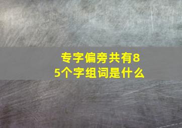 专字偏旁共有85个字组词是什么