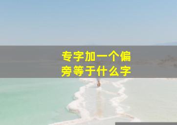 专字加一个偏旁等于什么字