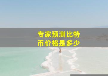 专家预测比特币价格是多少