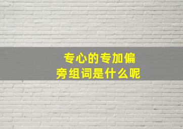 专心的专加偏旁组词是什么呢