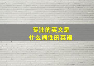 专注的英文是什么词性的英语