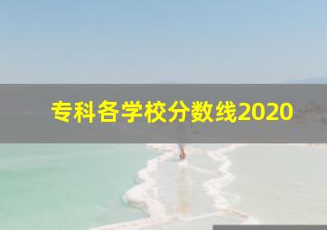 专科各学校分数线2020