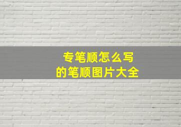 专笔顺怎么写的笔顺图片大全