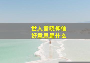 世人皆晓神仙好意思是什么