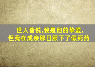 世人皆说,我是他的挚爱,但我在成亲那日服下了假死药