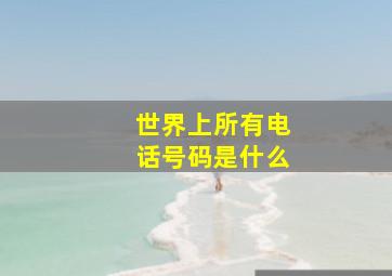 世界上所有电话号码是什么