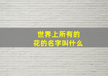 世界上所有的花的名字叫什么