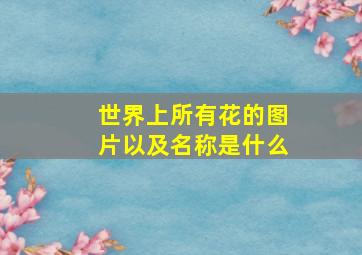 世界上所有花的图片以及名称是什么